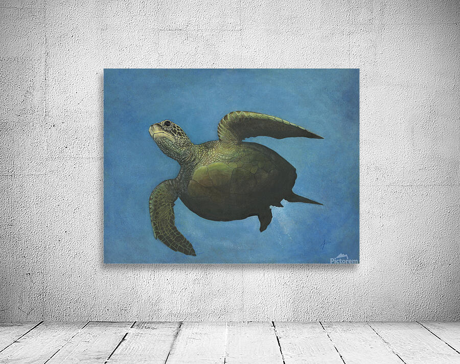 Charleys turtle full Wall Preview