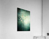 Cloud Abstract 5 Acrylic Print