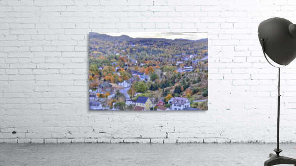 Brigus fall colours Wall Preview
