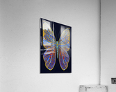 Butterfly Acrylic Print
