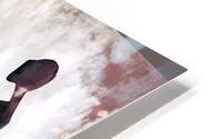 Followers HD Metal print