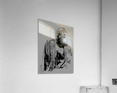 Chris Acrylic Print