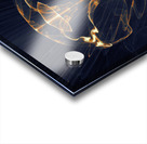 Invisible Soldier Within Acrylic print