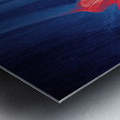 Companion  Metal print