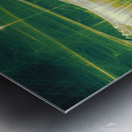 Impervious Metal print