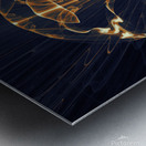 Invisible Soldier Within Metal print