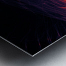 Crossing Paths Metal print