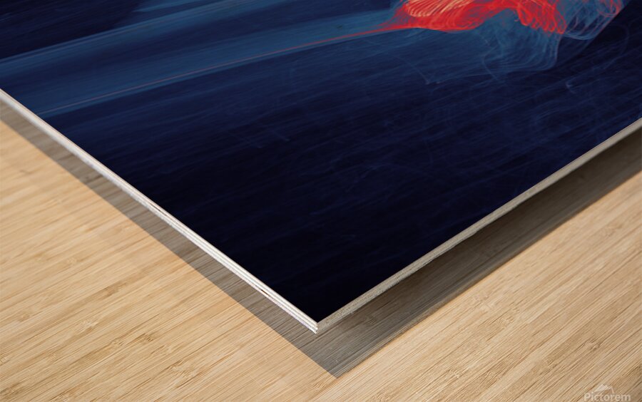 Companion  Wood print