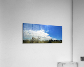 Skies Acrylic Print