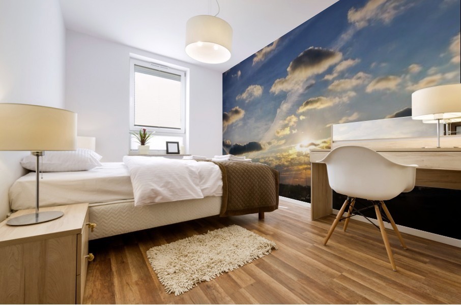 HoustonSky Mural print