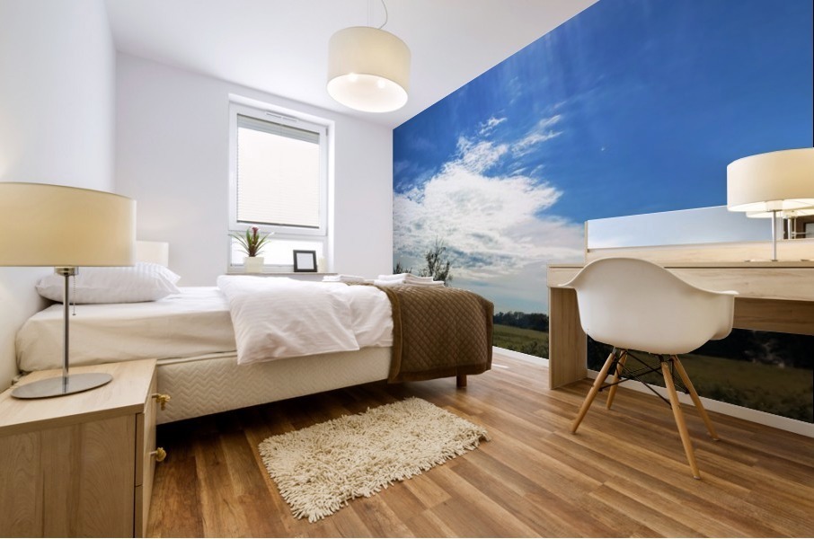 Skies Mural print