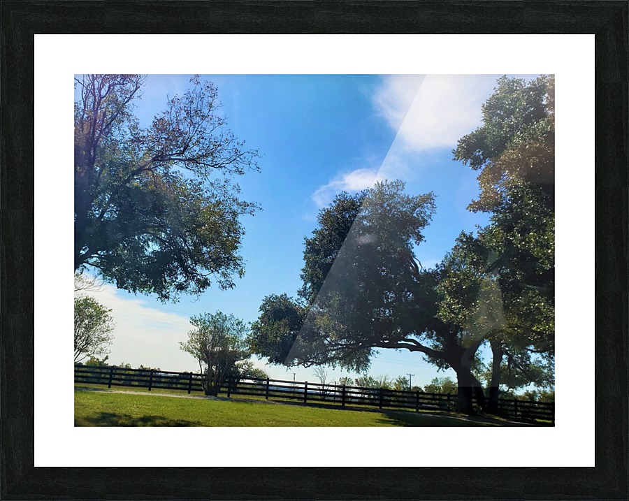 TexasSunshines Picture Frame print