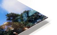 TexasSunshines HD Metal print
