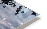 TexasSkies HD Metal print