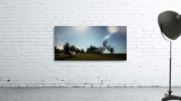 Texas Farms Wall Preview