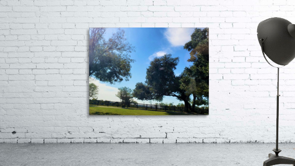 TexasSunshines Wall Preview