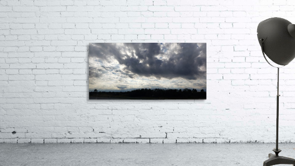 Wildskies Wall Preview