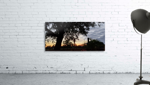 TexasSkies Wall Preview
