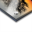 Morning Golden Hour Acrylic print