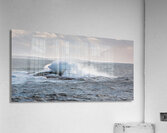 Flying Low Acrylic Print