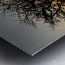 Morning Golden Hour Metal print