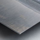 Flying Low Metal print