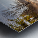 Mirror Image Metal print