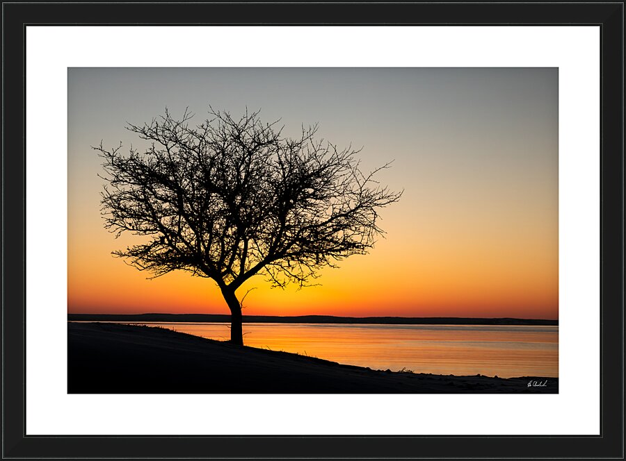 Morning Golden Hour Picture Frame print
