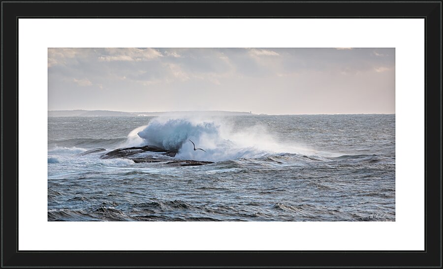 Flying Low Picture Frame print