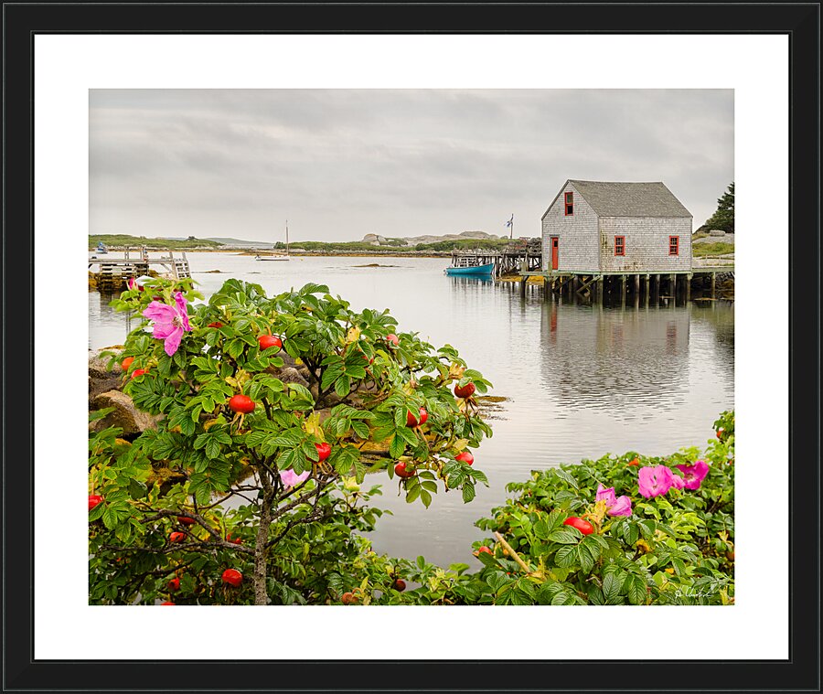 Prospect Fishing Shed Picture Frame print