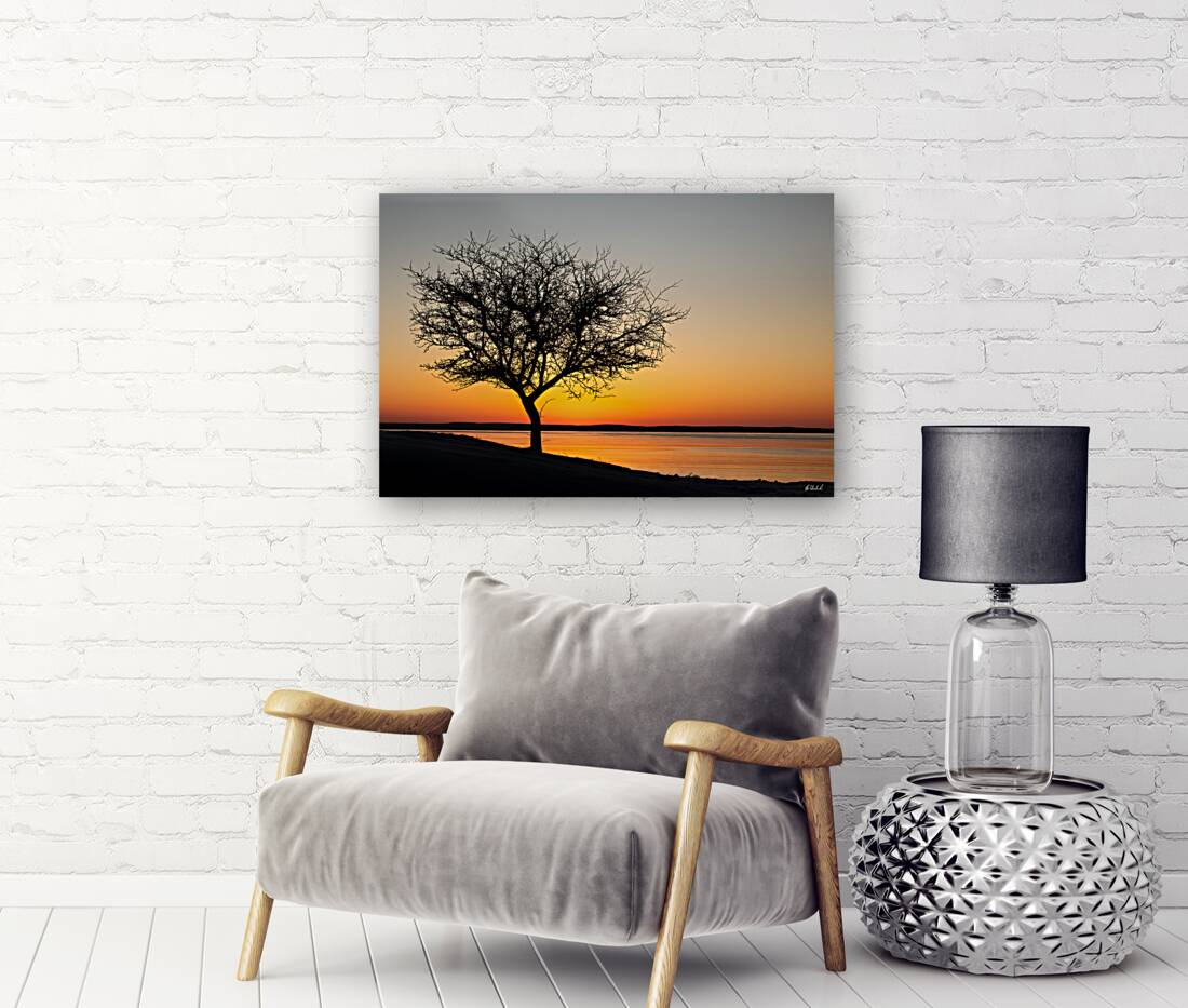 Morning Golden Hour Reproduction