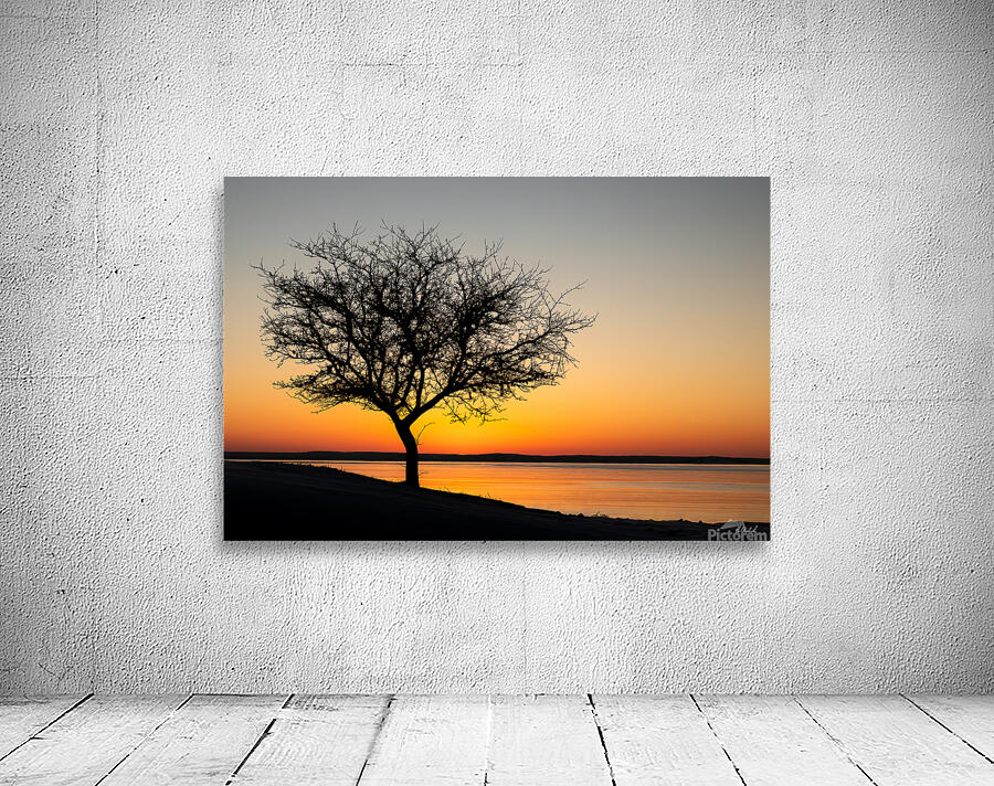 Morning Golden Hour Wall Preview