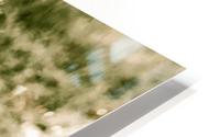Make a Wish HD Metal print