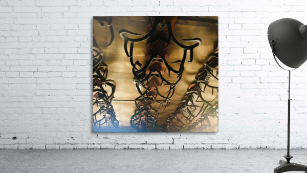 Horns on ceiling Wall Preview