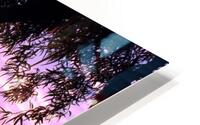 Tamarisk Sunset HD Metal print