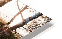 Woodlands HD Metal print