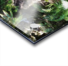 Rainforest1 Acrylic print