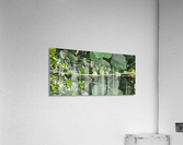 Vines1 Acrylic Print