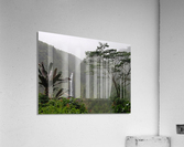 RainbowFa112 Acrylic Print