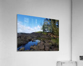 HiloBay5 Acrylic Print