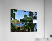 Greenery in Hilo Acrylic Print