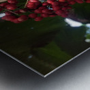 Flowers in Hilo Metal print