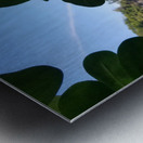 Greenery in Hilo Metal print