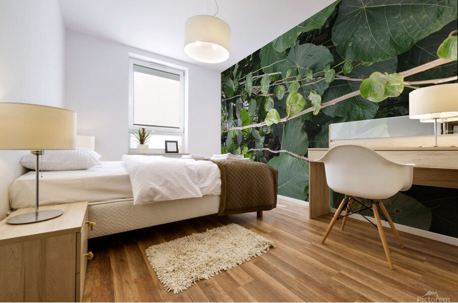Vines1 Mural print