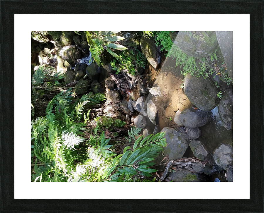 Rainforest1 Picture Frame print