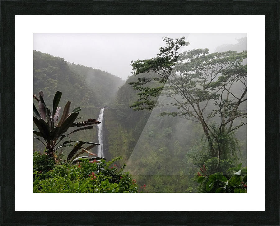 RainbowFa112 Picture Frame print