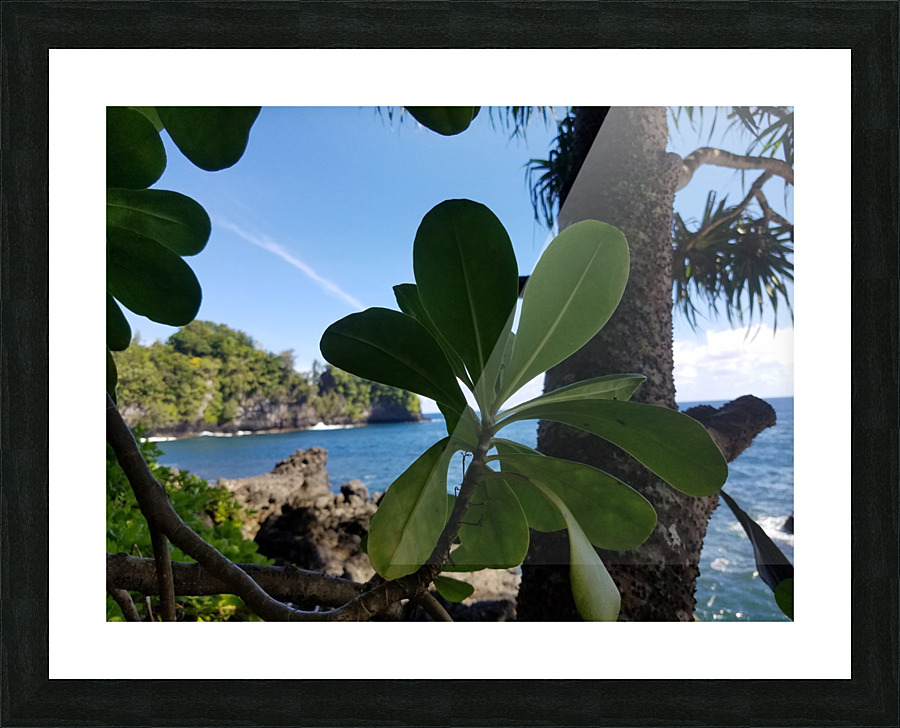 Greenery in Hilo Picture Frame print