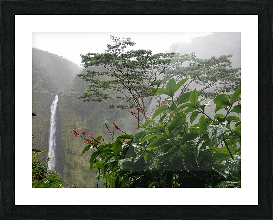 RainbowFalls1 Picture Frame print