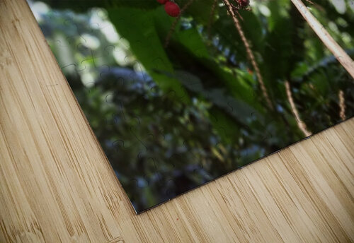 Flowers in Hilo Kathleen Anderson puzzle