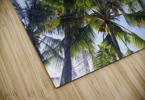 PalmTrees in Hilo Kathleen Anderson puzzle